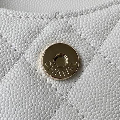 AP2401 8X10X3.5cm WO (9)