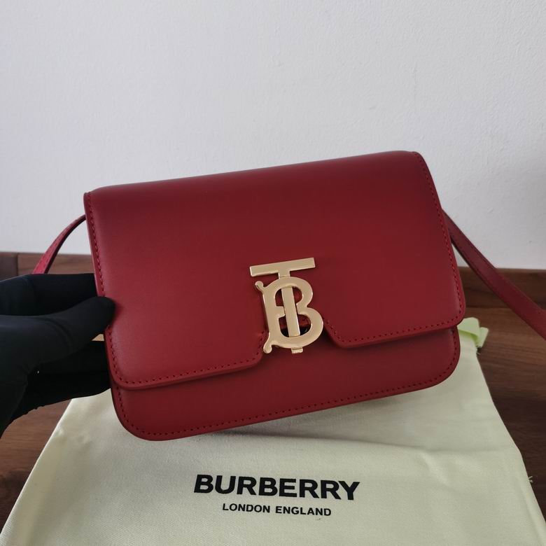 Burberry 21x16x6cm HQ 2 (1)