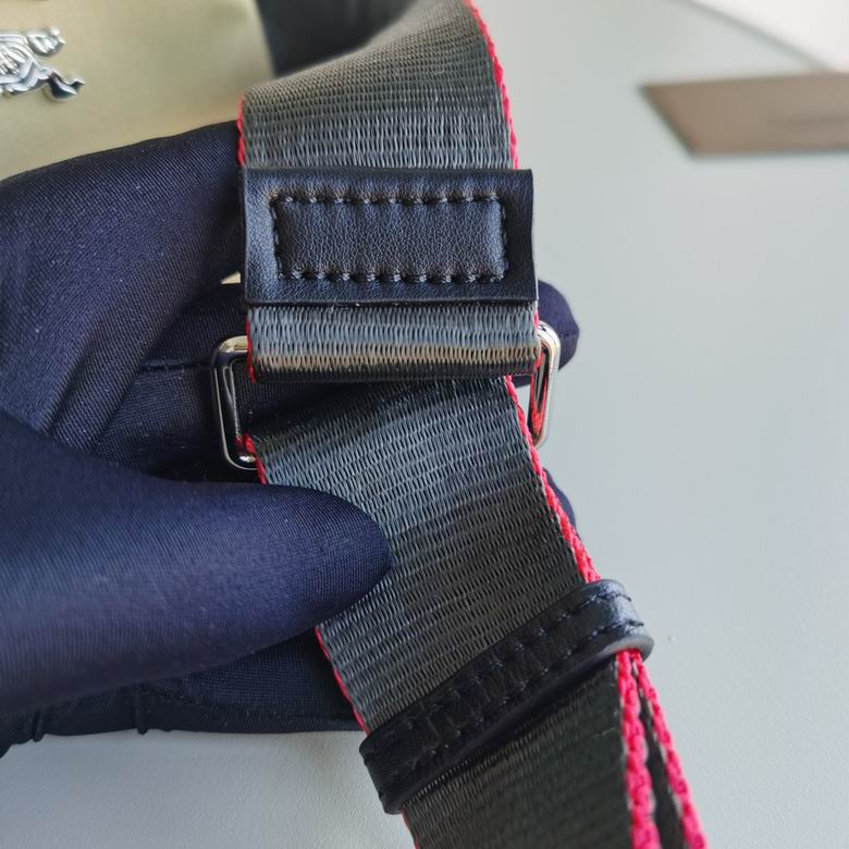 Burberry 22x11x17cm HQ 1 (4)