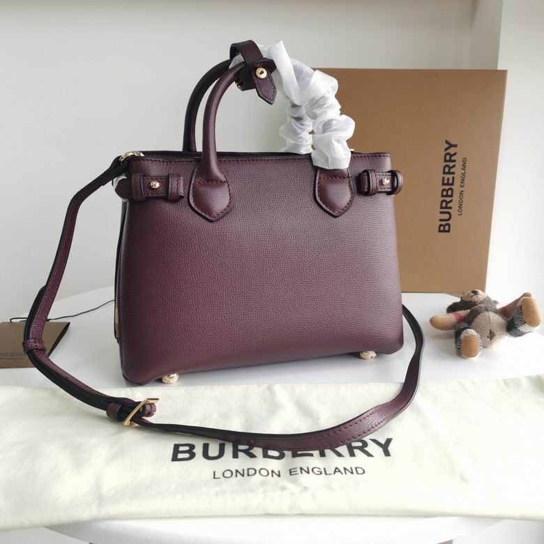 Burberry 26x12x19cm HQ 4 (2)