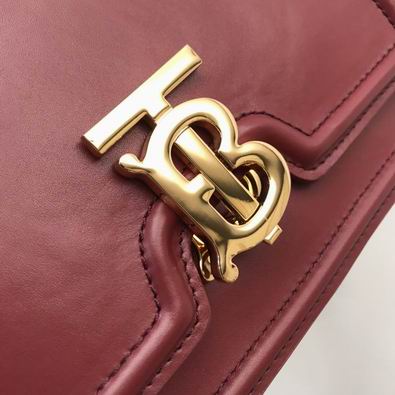 Burberry 31111 21x6x16cm yz3 (3)