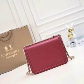 Burberry 8368 21x6x16cm ww3色 (12)