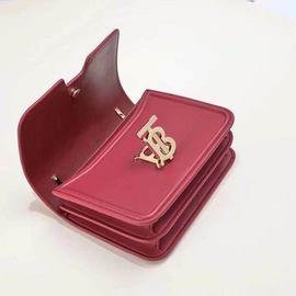 Burberry 8368 21x6x16cm ww3色 (16)