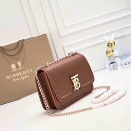 Burberry 8368 21x6x16cm ww3色 (21)