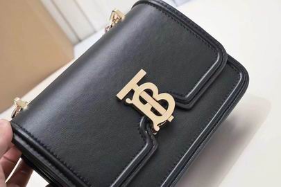 Burberry 8368 21x6x16cm ww3色 (6)