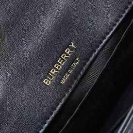 Burberry Lola 8378 23x13x6cm ww (35)