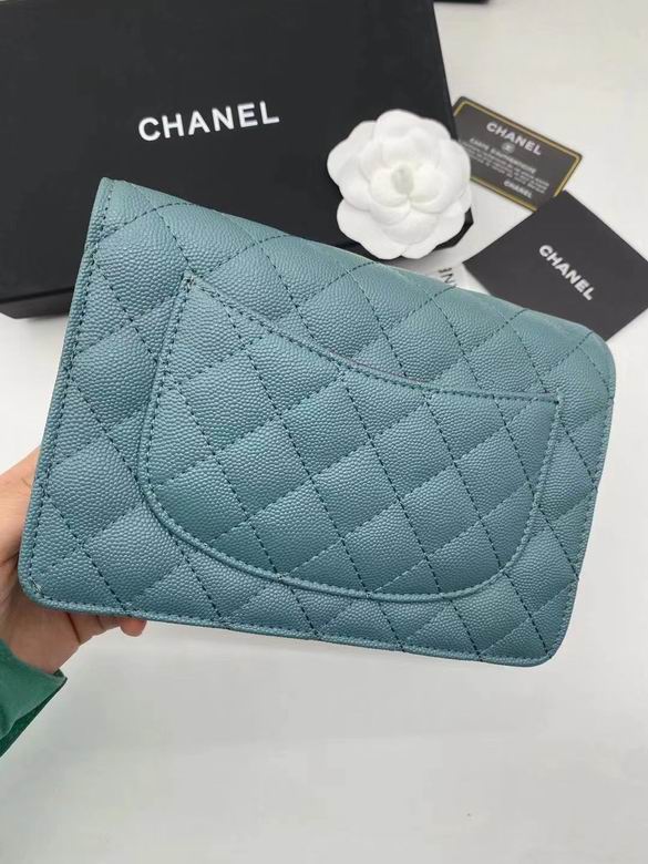 Chanel 19x12cm YG 3 (2)