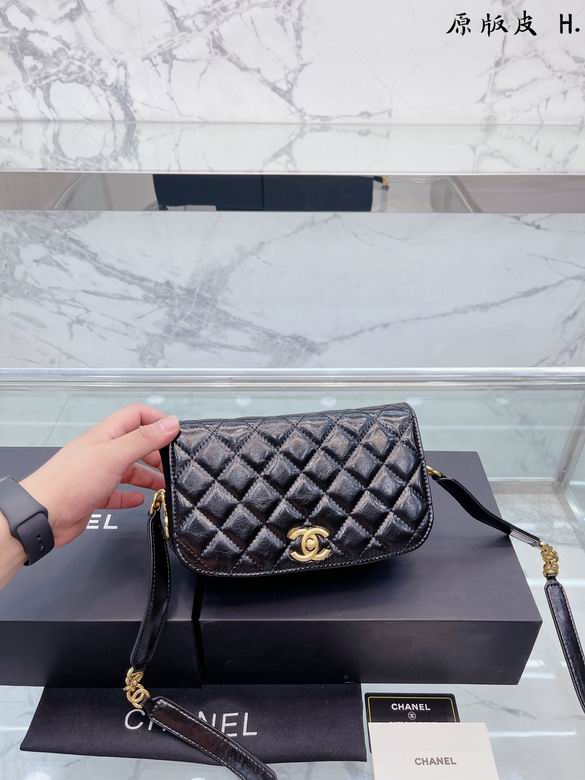 Chanel 23x14cm,20x12cm CN (3)