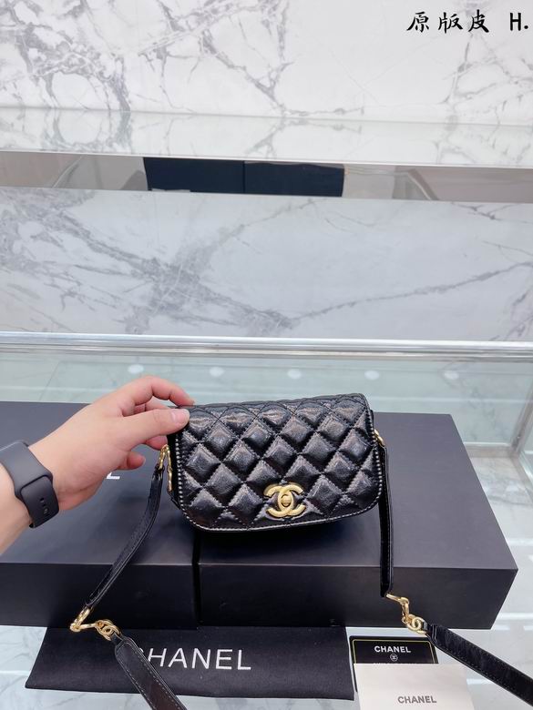 Chanel 23x14cm,20x12cm CN (4)