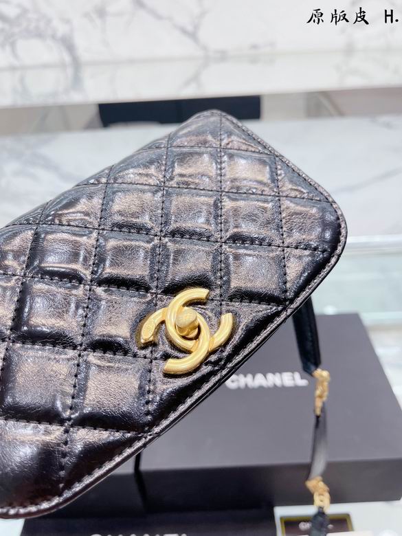 Chanel 23x14cm,20x12cm CN (6)