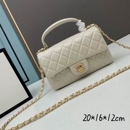 Chanel 2431 20x11.5x16cm ww (1)