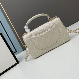 Chanel 2431 20x11.5x16cm ww (2)