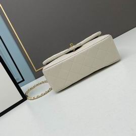 Chanel 2431 20x11.5x16cm ww (4)