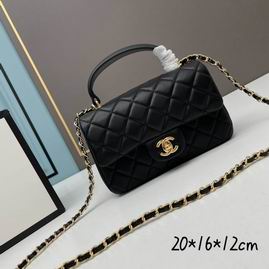 Chanel 2431 20x11.5x16cm ww (9)