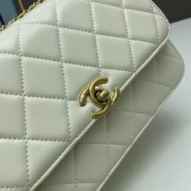 Chanel 2649 22x14x7cm ww (6)