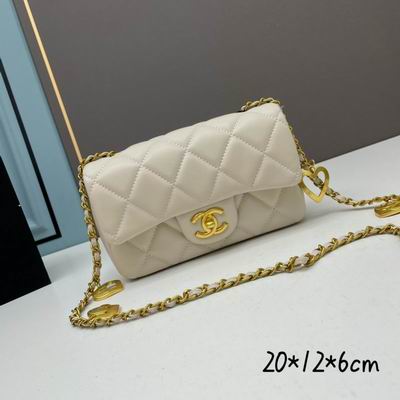 Chanel 3457 20x12x6cm ww (1)