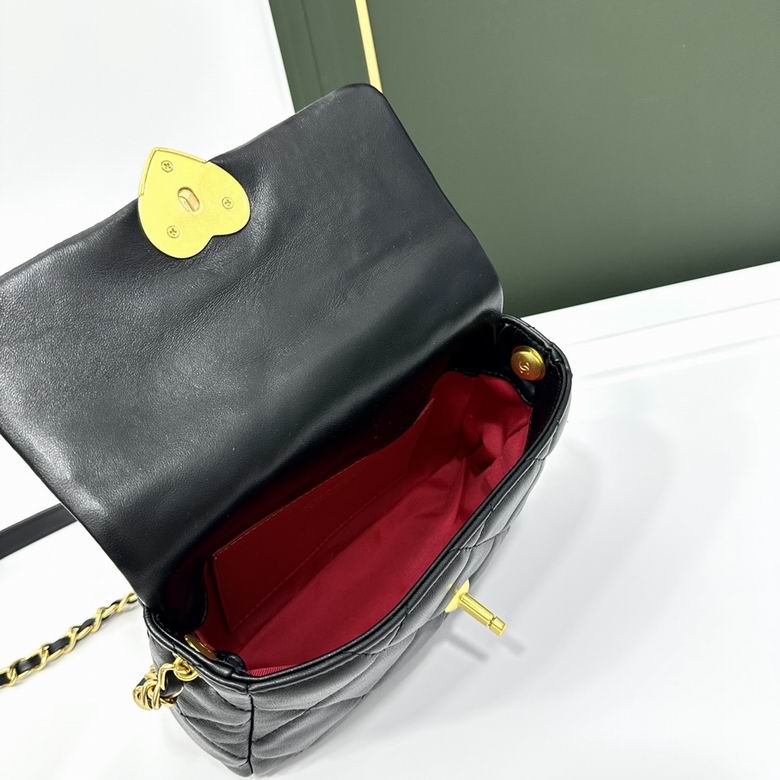 Chanel 3632 L21x14x7 S18x13x5cm zy (17)