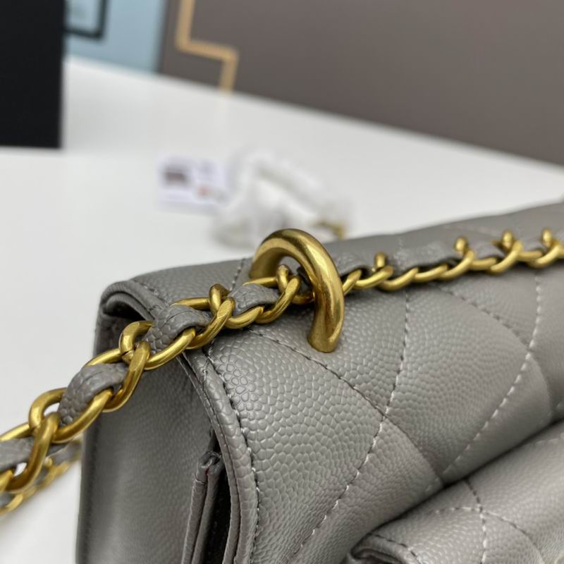 Chanel woc2830 19x12x6cm ww4色 (12)