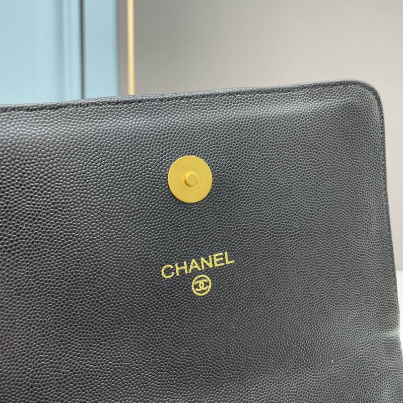 Chanel woc2830 19x12x6cm ww4色 (22)