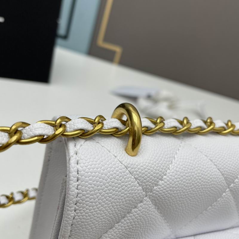 Chanel woc2830 19x12x6cm ww4色 (27)