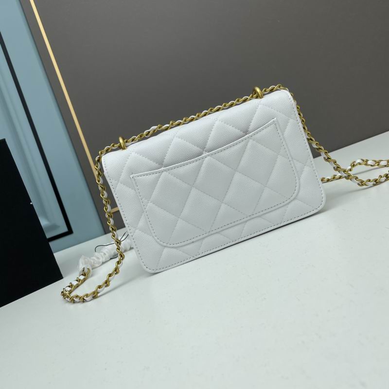 Chanel woc2830 19x12x6cm ww4色 (28)