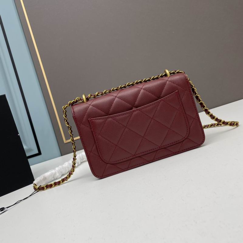 Chanel woc2830 19x12x6cm ww4色 (3)
