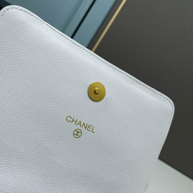 Chanel woc2830 19x12x6cm ww4色 (30)