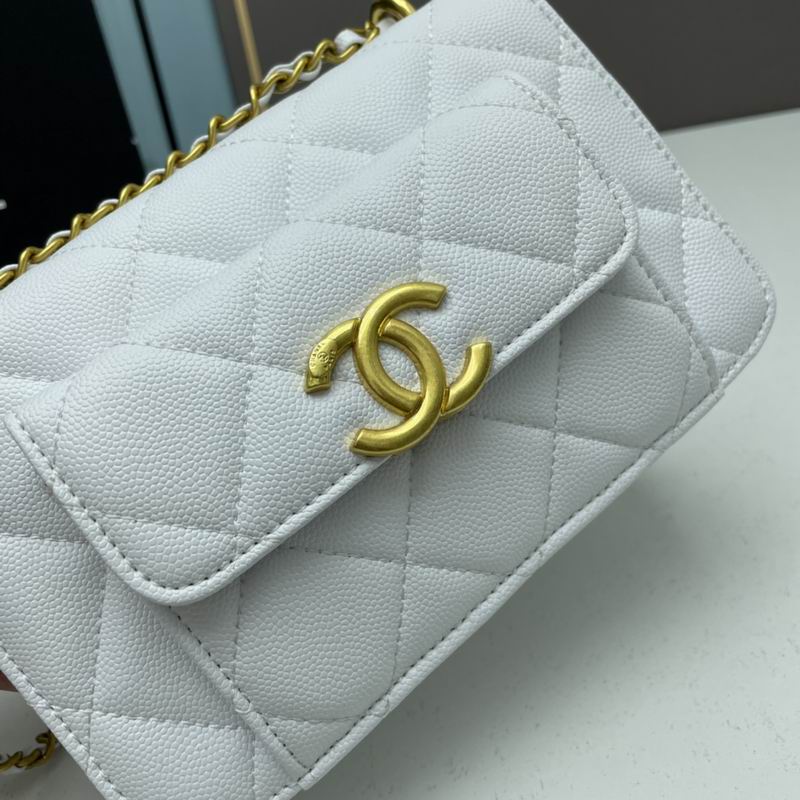 Chanel woc2830 19x12x6cm ww4色 (31)