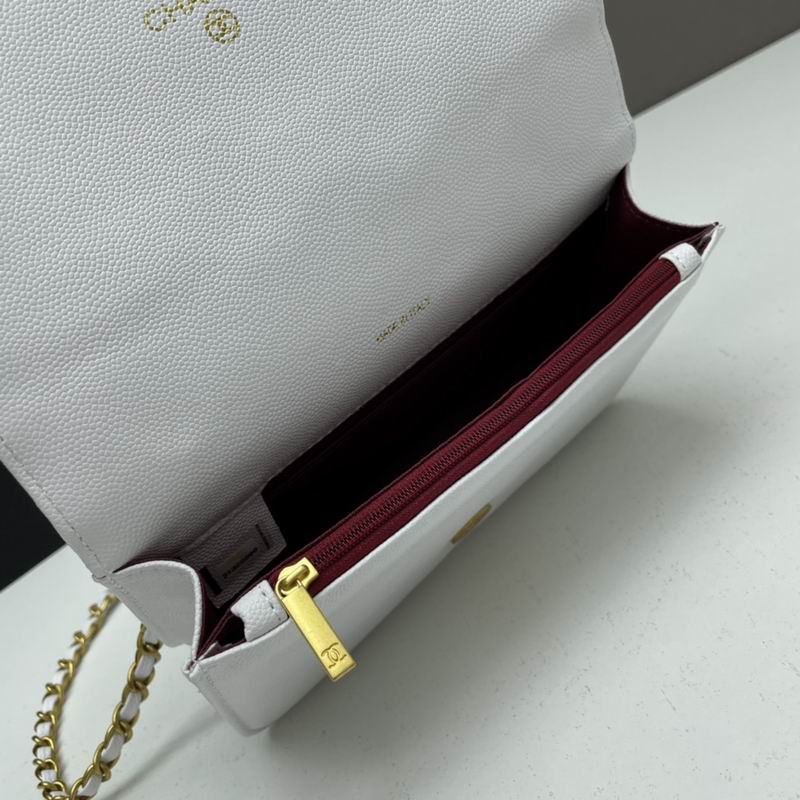 Chanel woc2830 19x12x6cm ww4色 (32)