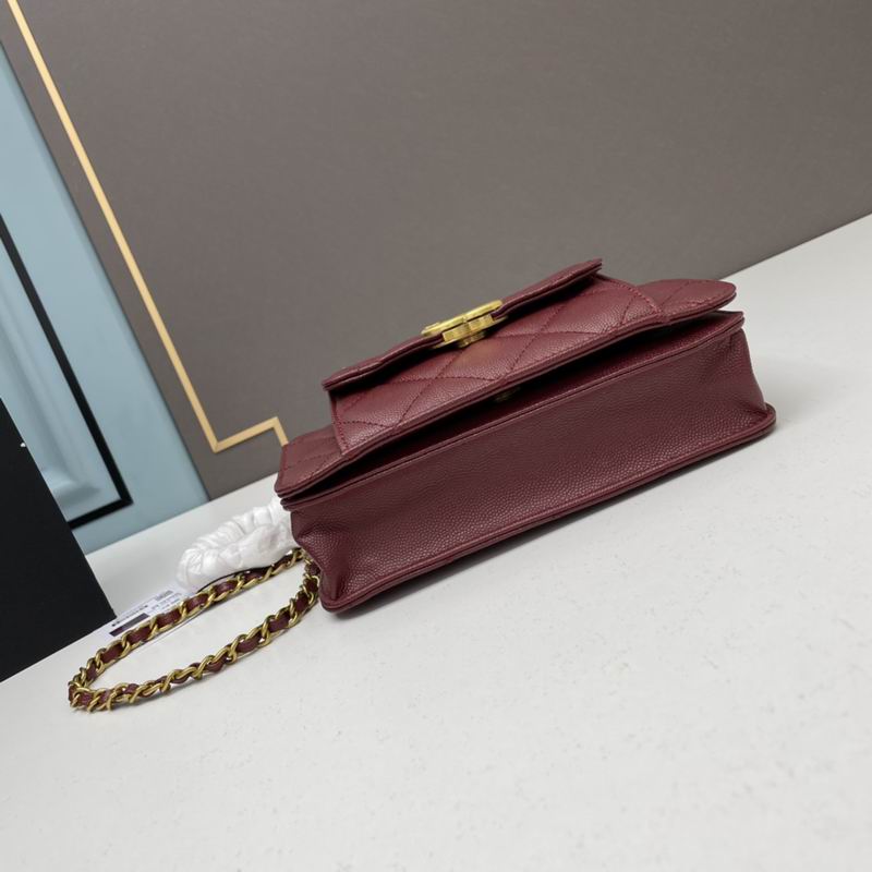 Chanel woc2830 19x12x6cm ww4色 (4)