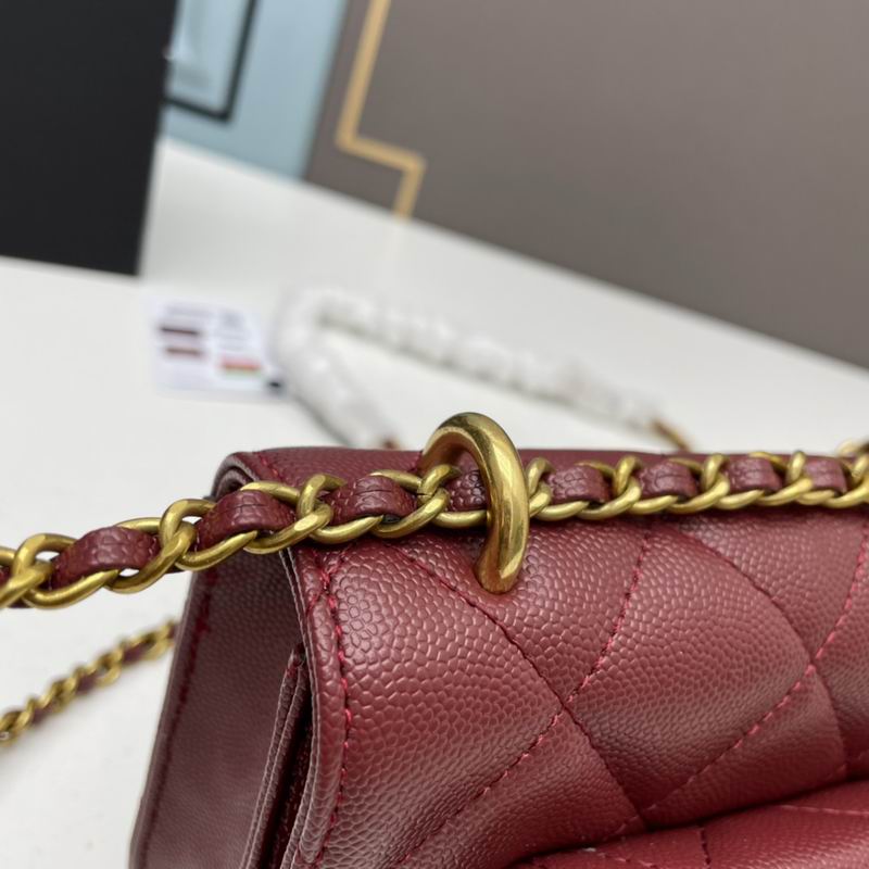 Chanel woc2830 19x12x6cm ww4色 (5)