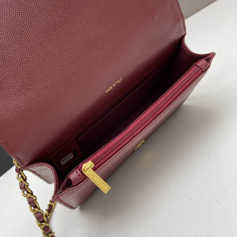 Chanel woc2830 19x12x6cm ww4色 (8)