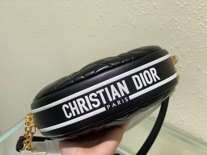 DIOR 24x15x6.8cm yz2 (5)