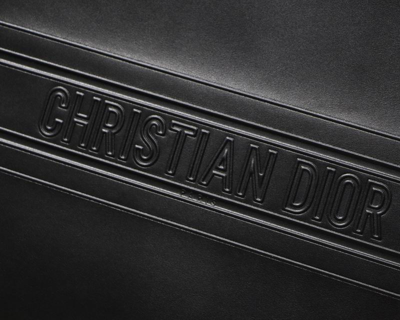 DIOR S36.5x28cm yz (7)