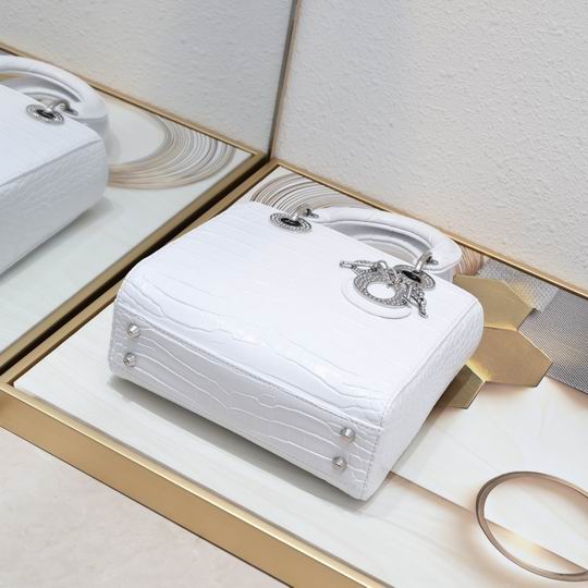 Dior 20x16.5x8cm zy1_5