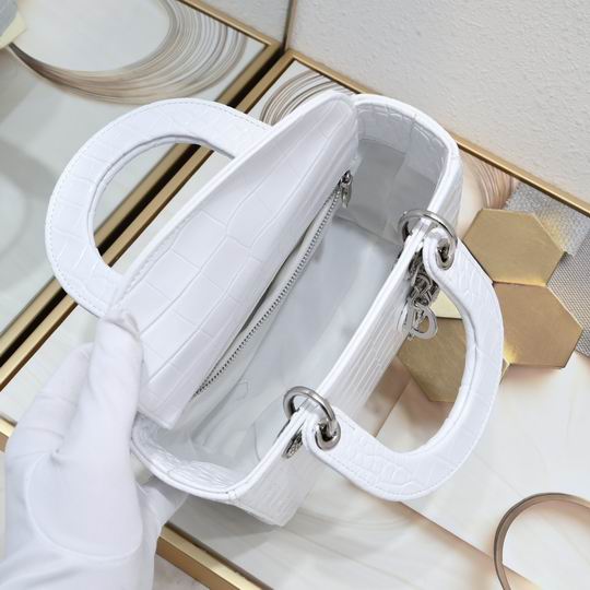 Dior 20x16.5x8cm zy1_9