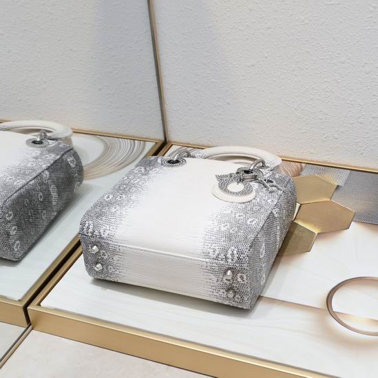 Dior 20x16.5x8cm zy_3