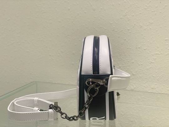 Dior信使包 22cm yz (22)