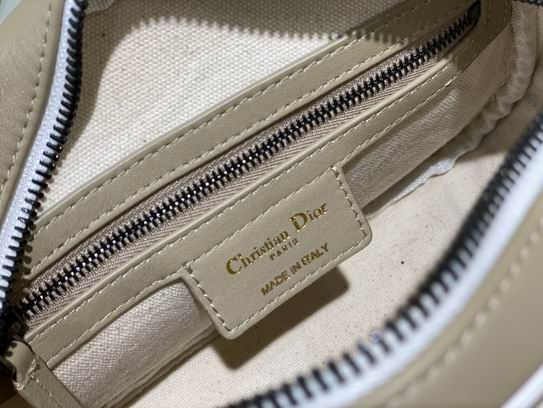 Dior信使包 22cm yz (9)