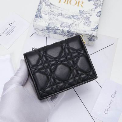 Dior 0178 9x11cm wz (1)