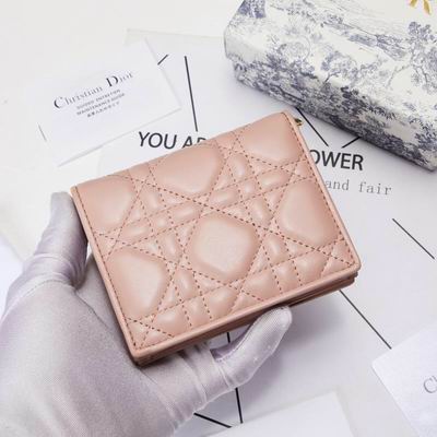 Dior 0178 9x11cm wz (10)