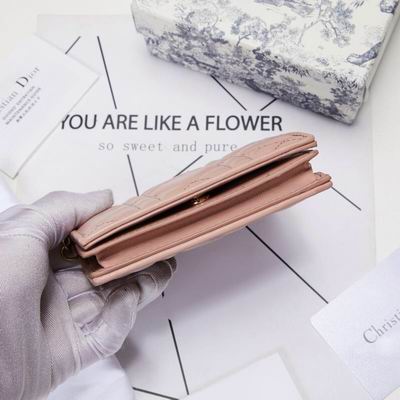 Dior 0178 9x11cm wz (12)