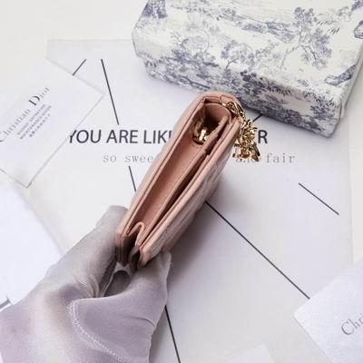 Dior 0178 9x11cm wz (13)