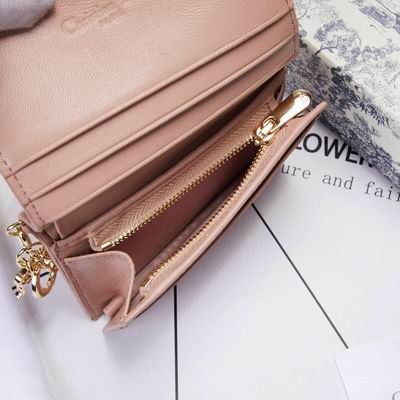 Dior 0178 9x11cm wz (18)