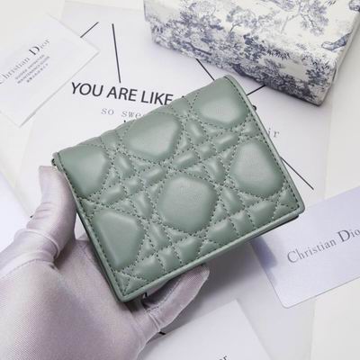 Dior 0178 9x11cm wz (19)