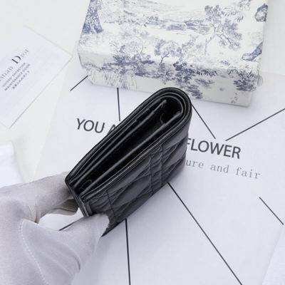 Dior 0178 9x11cm wz (2)