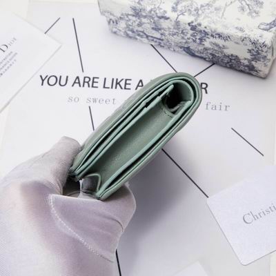 Dior 0178 9x11cm wz (21)