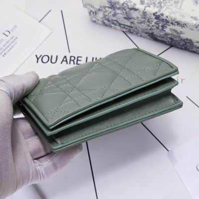 Dior 0178 9x11cm wz (22)