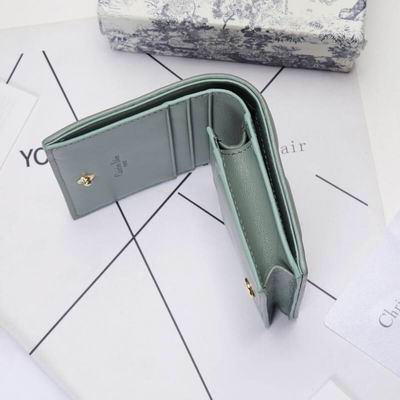 Dior 0178 9x11cm wz (23)