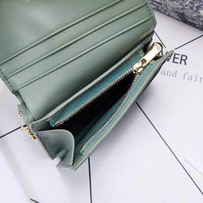 Dior 0178 9x11cm wz (26)